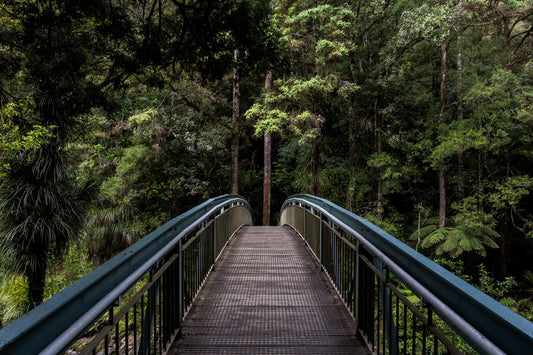 Nature Photography Tips for Beginners