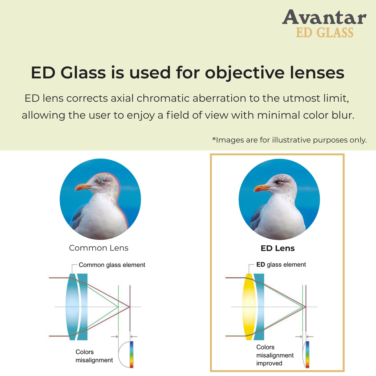 Kenko Avantar ED II ED Glass Binocular, Waterproof IPX7