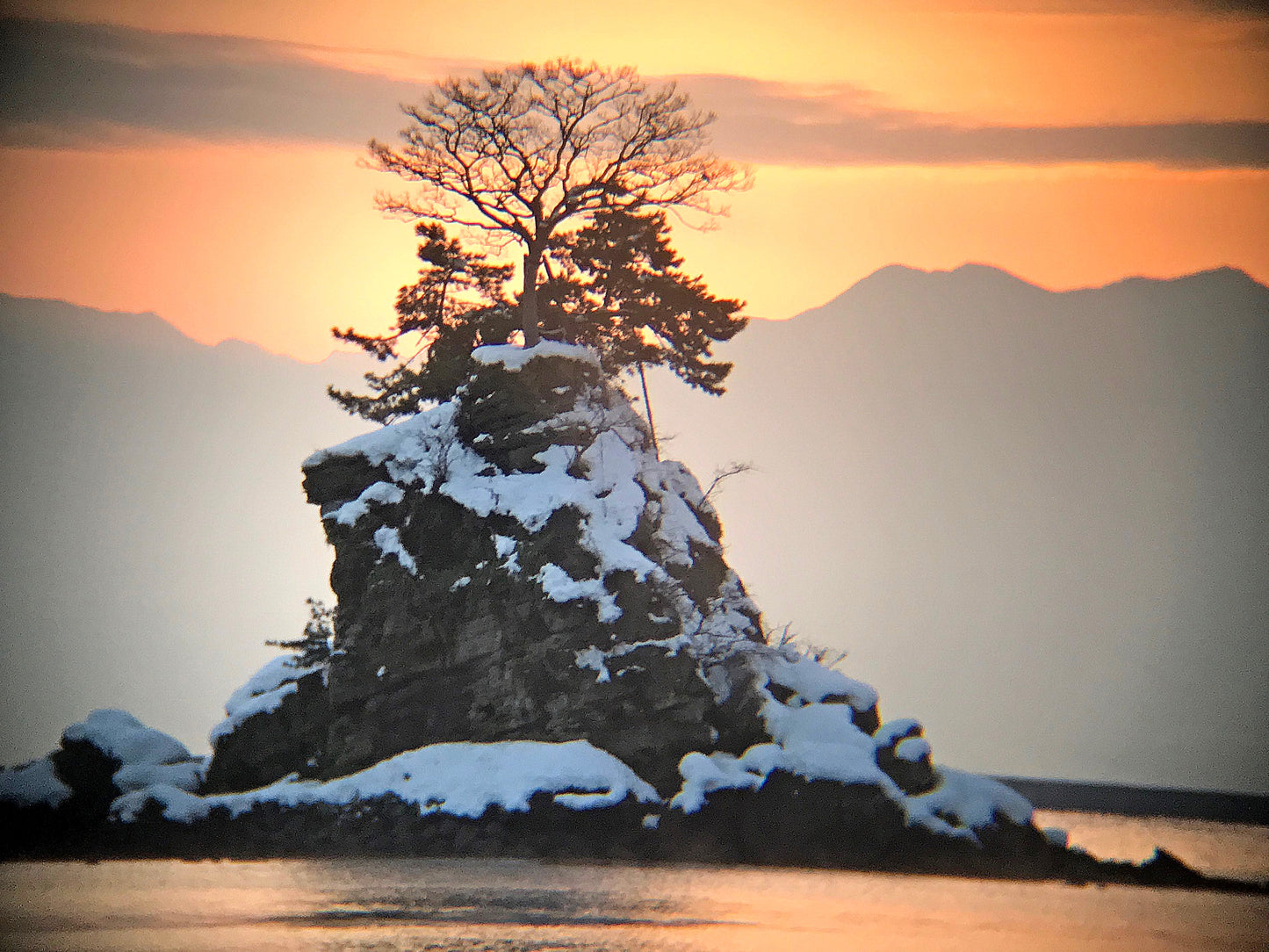 REAL PRO 7x Super Telephoto / Monocular Lens Set for Smartphones