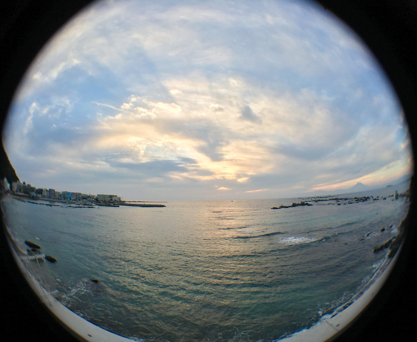 REAL PRO 180 Degree Fisheye Lens for Smartphones