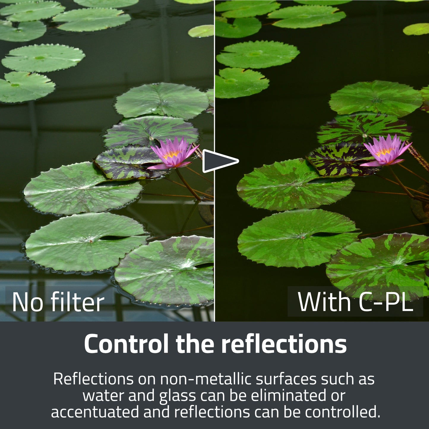 PRO1D SMART Circular Polarizer Filter
