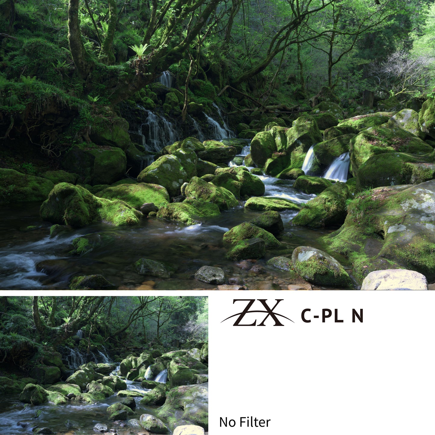 ZX C-PL N Circular Polarizer Filter