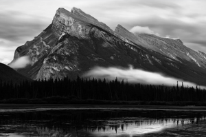 Beginner Black and White Photography Tips