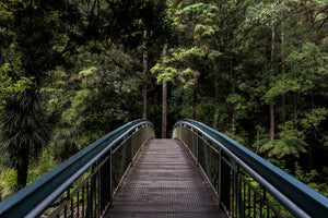 Nature Photography Tips for Beginners