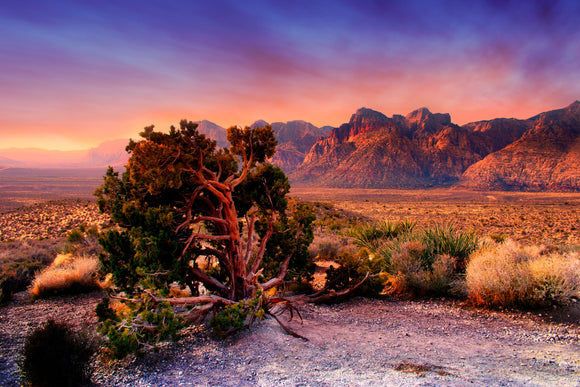 Nevada Photography and Travel Guide - Las Vegas Area