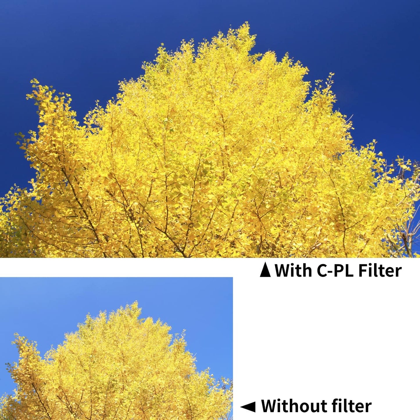 Kenko Lens Filter Smart Circular Polarizer, Slim Type