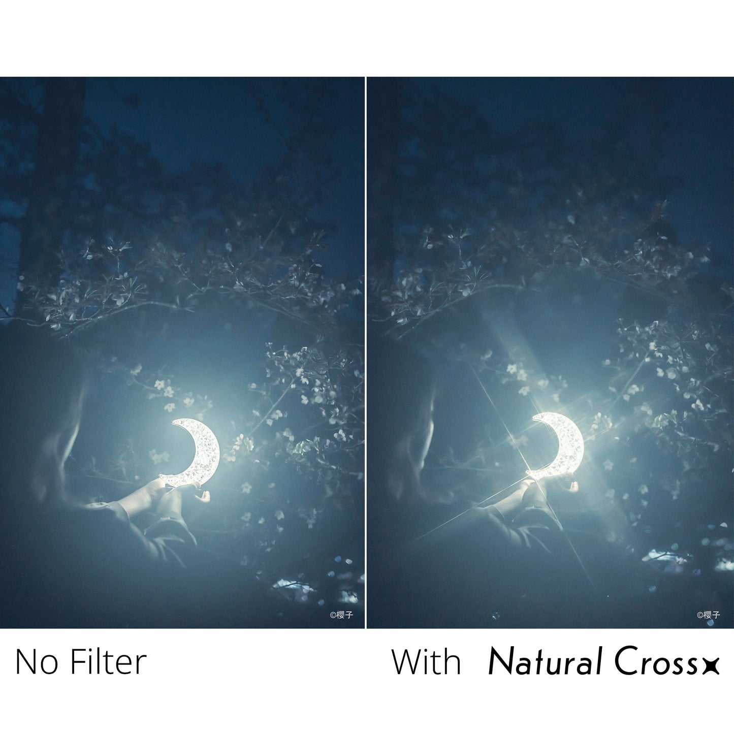 PRO1D R-Natural Cross