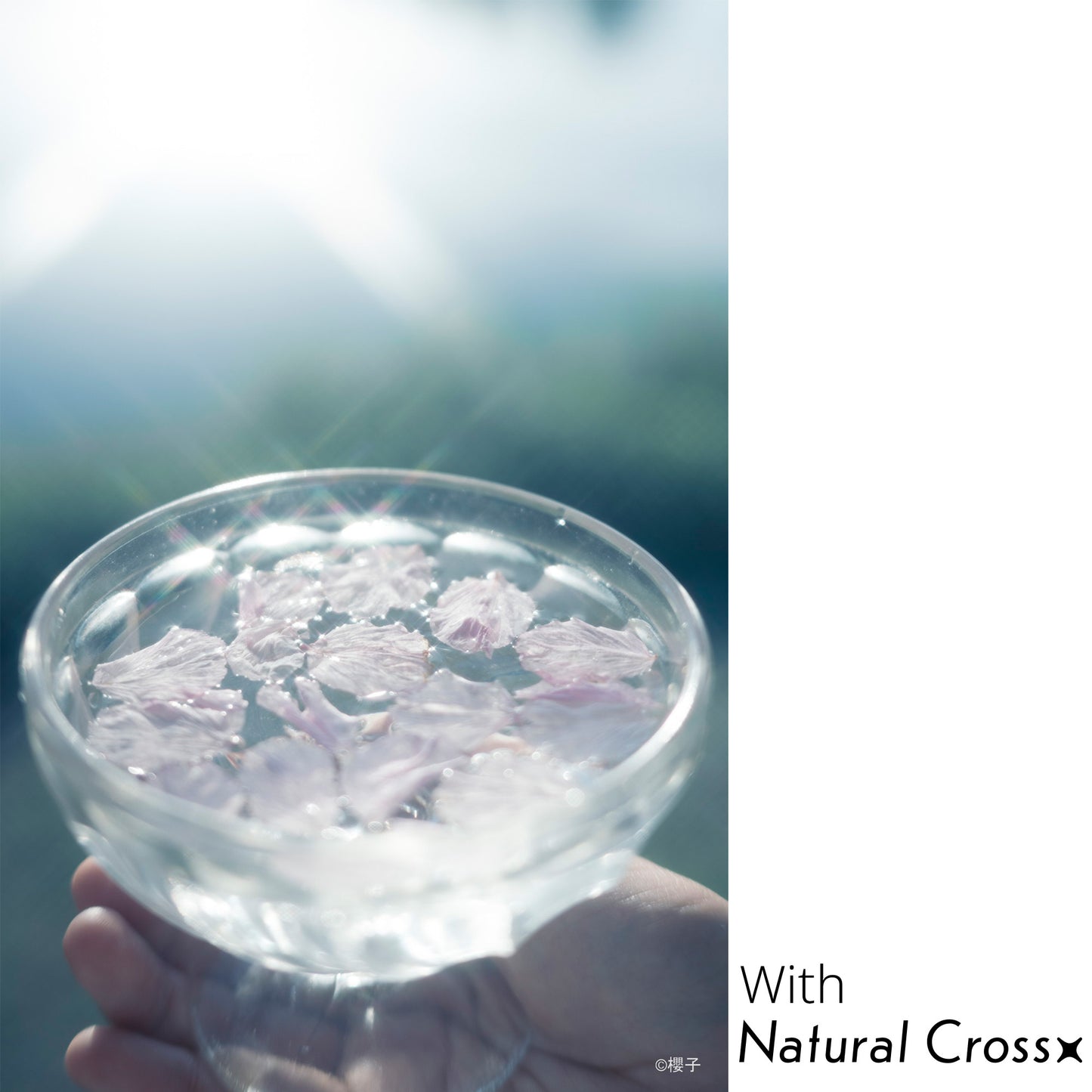 PRO1D R-Natural Cross