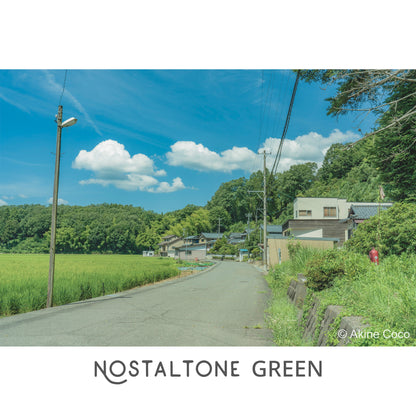 NOSTALTONE GREEN Effect Filter