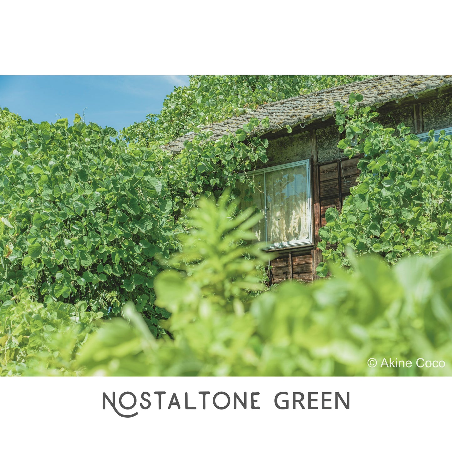 NOSTALTONE GREEN Effect Filter