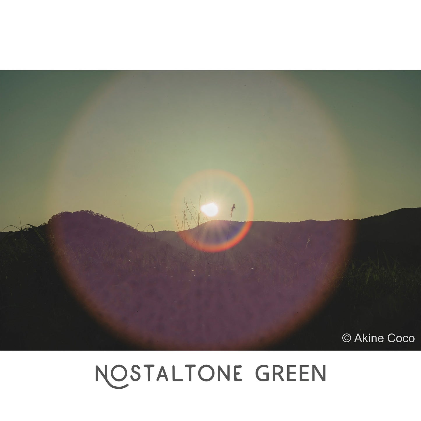 NOSTALTONE GREEN Effect Filter