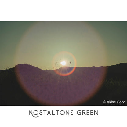 NOSTALTONE GREEN Effect Filter