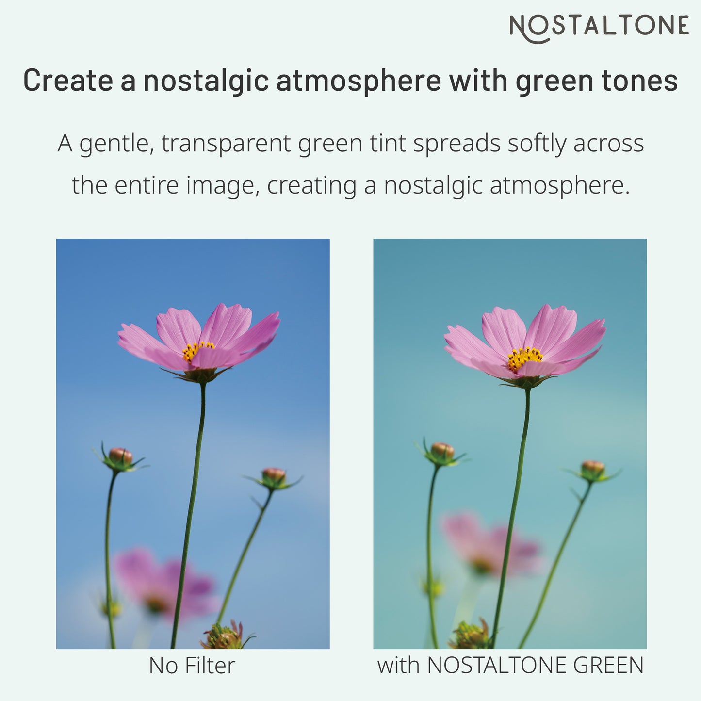NOSTALTONE GREEN Effect Filter