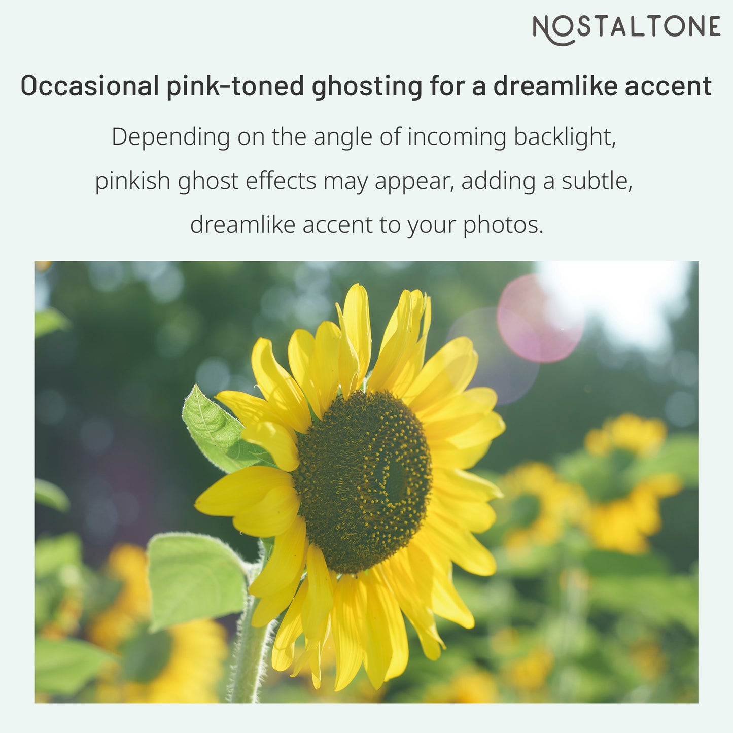 NOSTALTONE GREEN Effect Filter