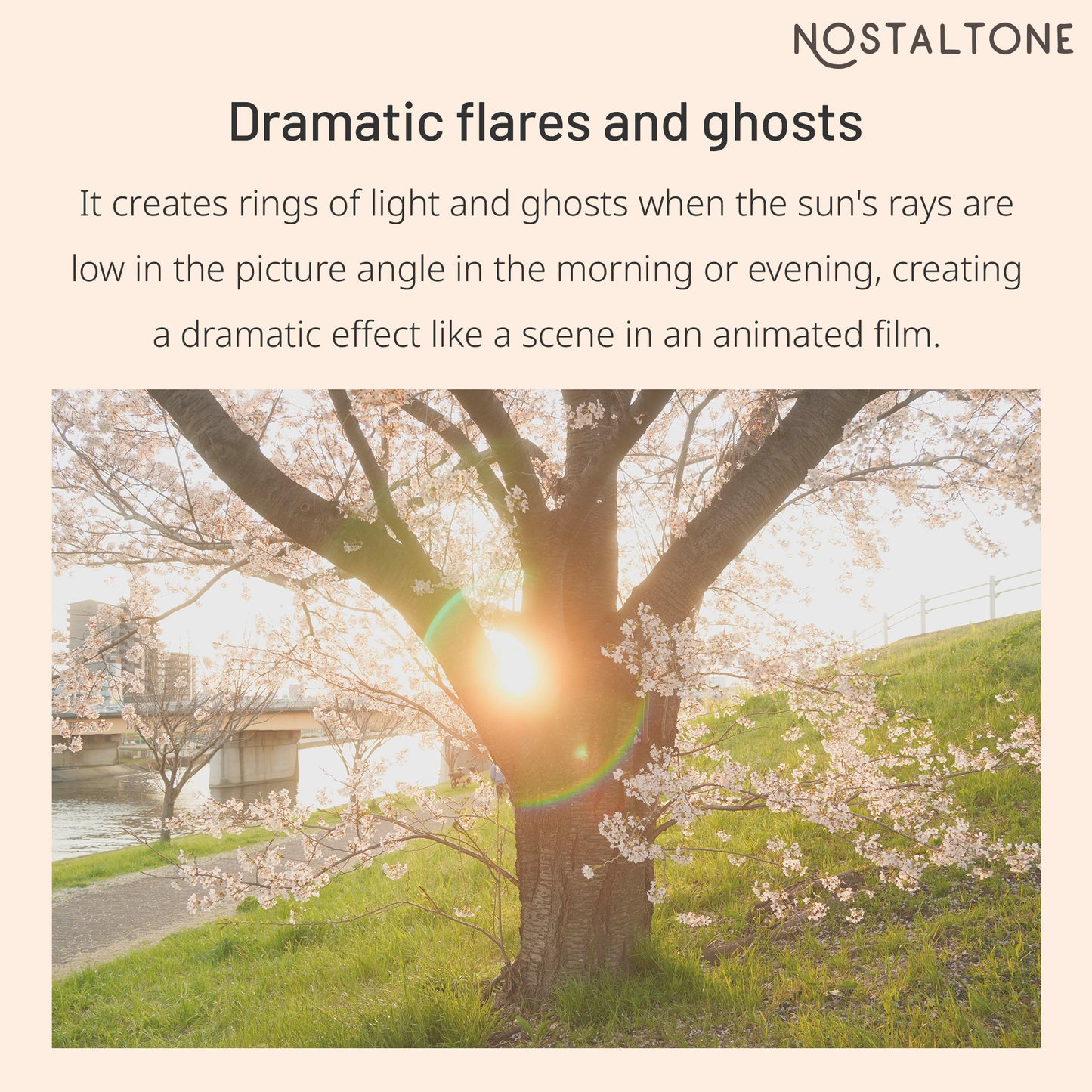 NOSTALTONE ORANGE Effect Filter