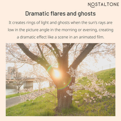 NOSTALTONE ORANGE Effect Filter