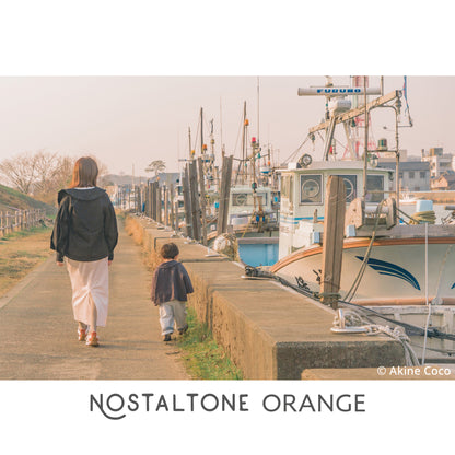 NOSTALTONE ORANGE Effect Filter