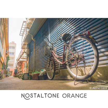 NOSTALTONE ORANGE Effect Filter