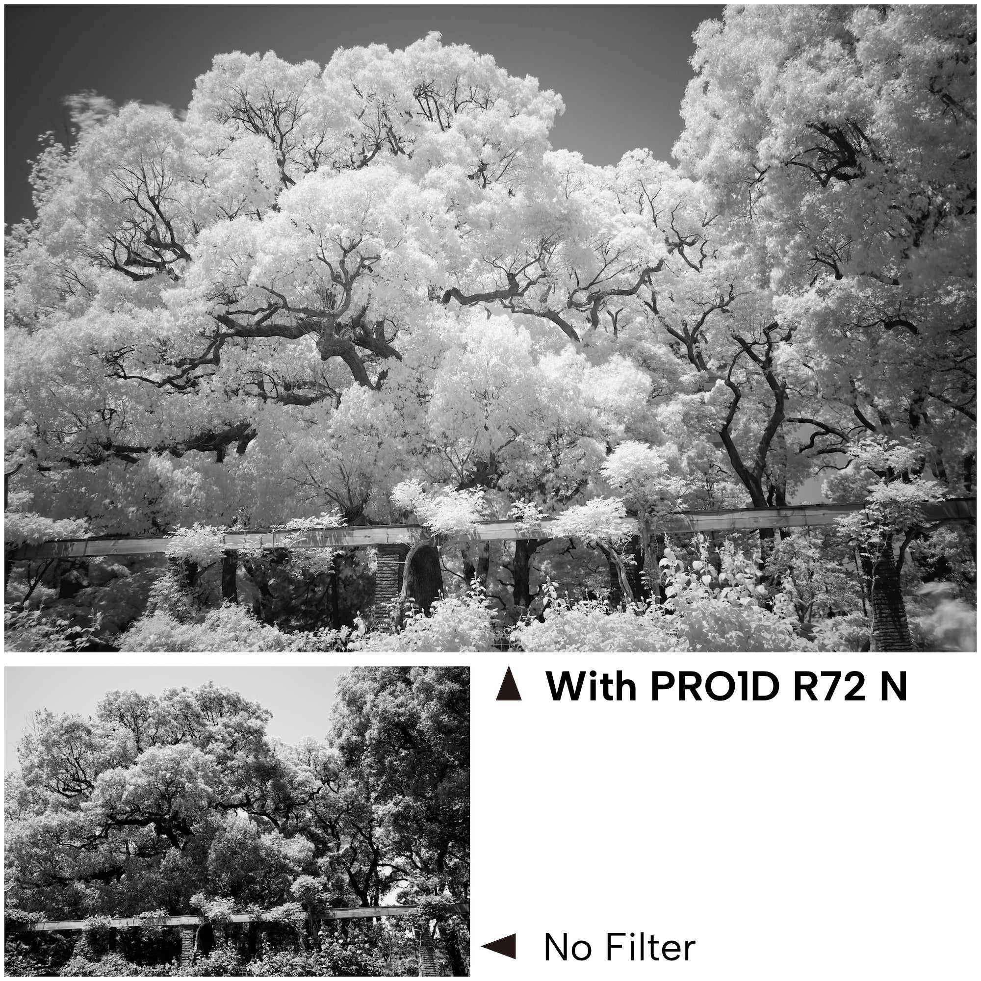 R72 N Infrared Filter – Kenko Imaging USA