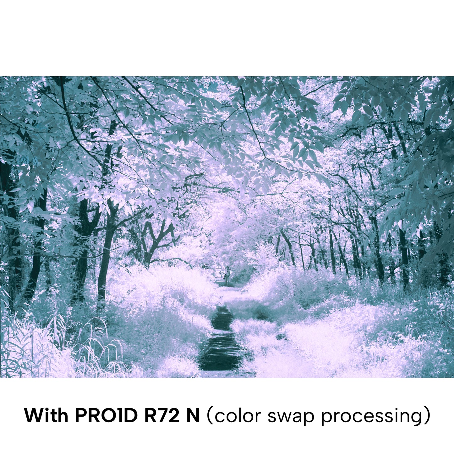 Kenko R72 N, For Infrared Photography