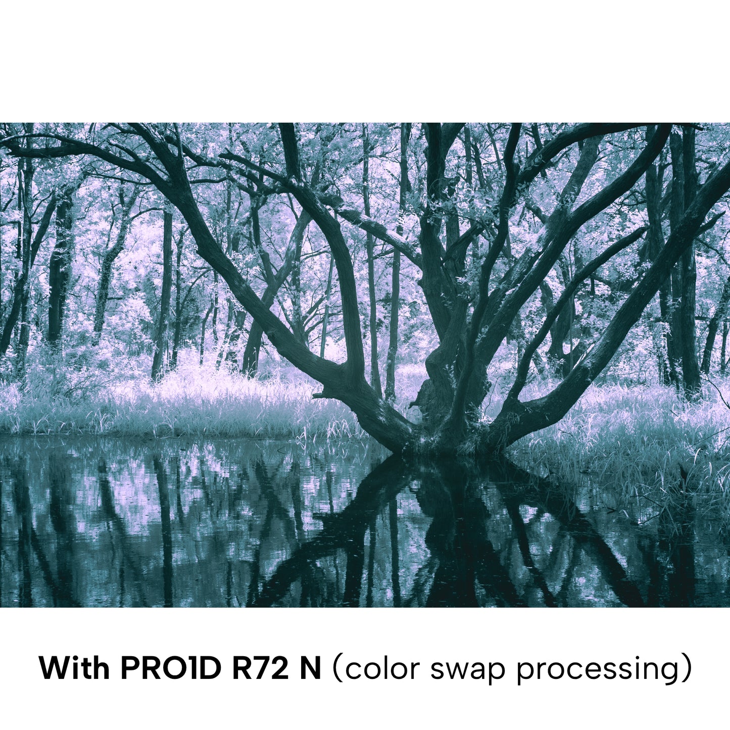 Kenko R72 N, For Infrared Photography