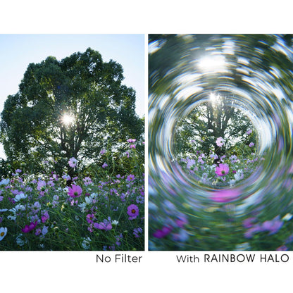 Rainbow Halo Filter