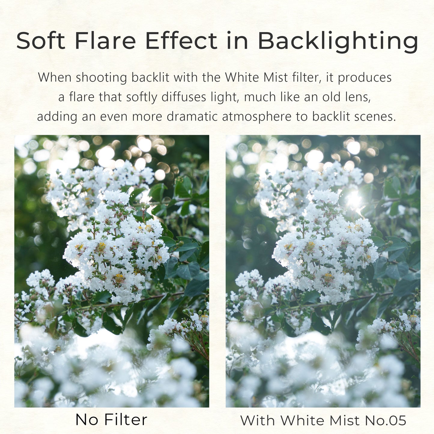 White Mist No.05 Diffusion Filter